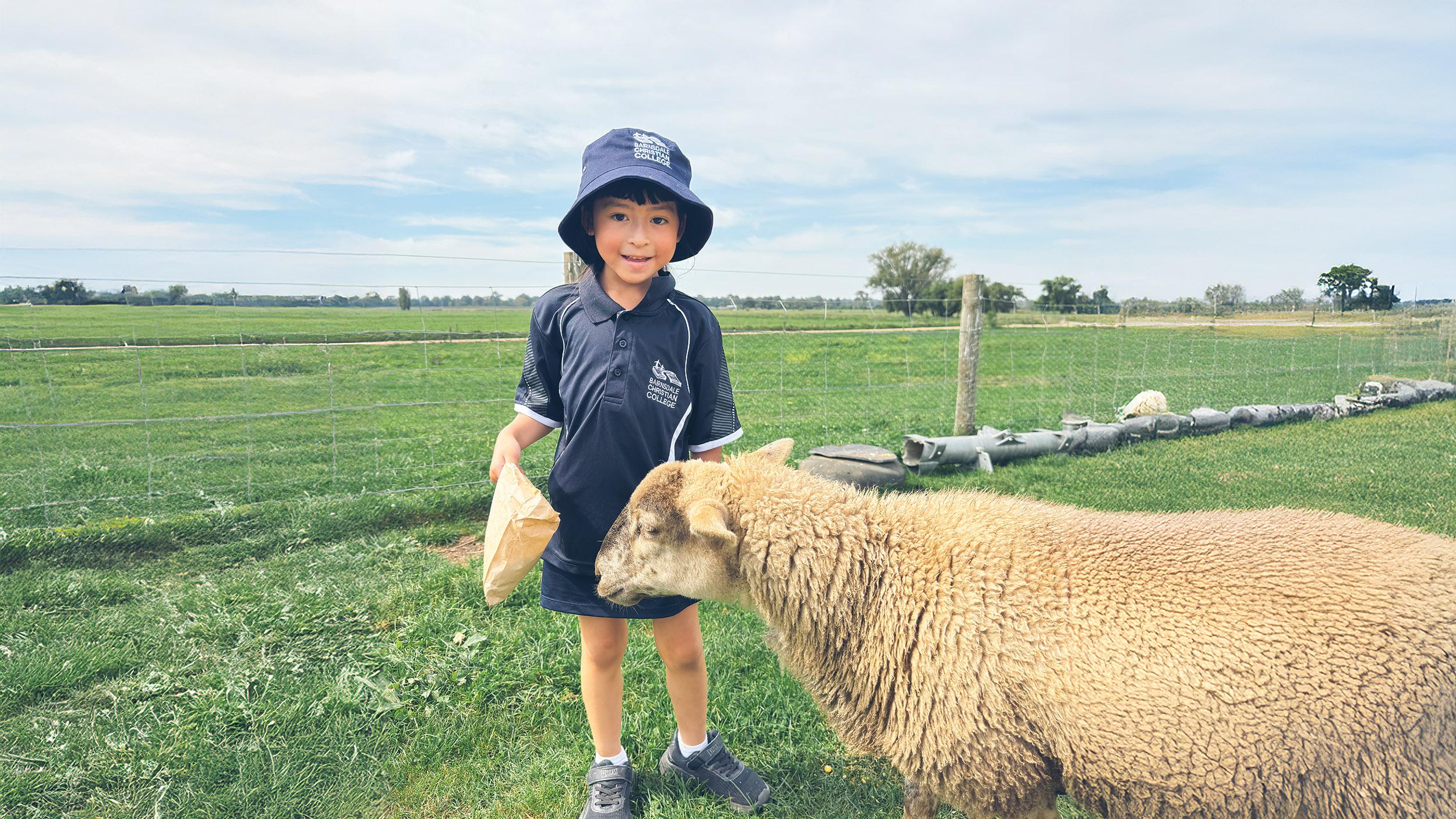 Prep students engaged in learning at Bairnsdale Christian College